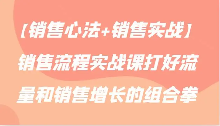 【销售心法+销售实战】销售流程实战课打好流量和销售增长的组合拳