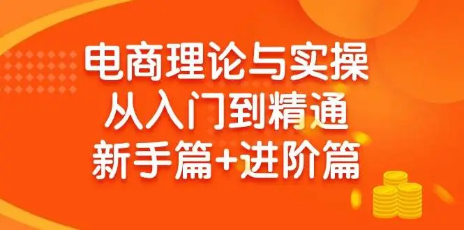 （9576期）电商理论与实操从入门到精通 新手篇+进阶篇