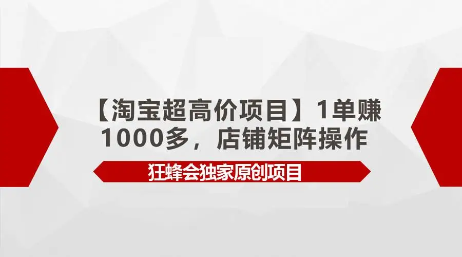 （9849期）【淘宝超高价项目】1单赚1000多，店铺矩阵操作