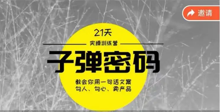 《子弹密码训练营》-用一句话文案勾人勾心卖产品，21天学到顶尖文案大师策略和技巧