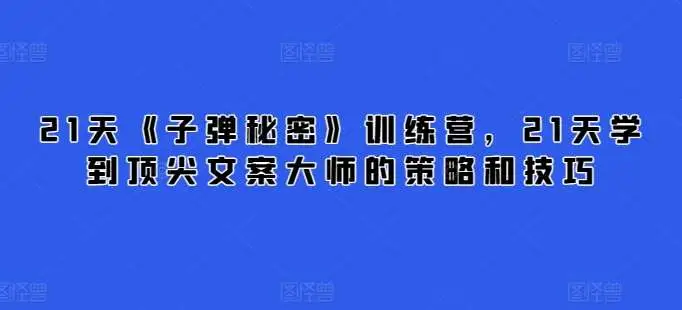 21天《子弹秘密》训练营，21天学到顶尖文案大师的策略和技巧