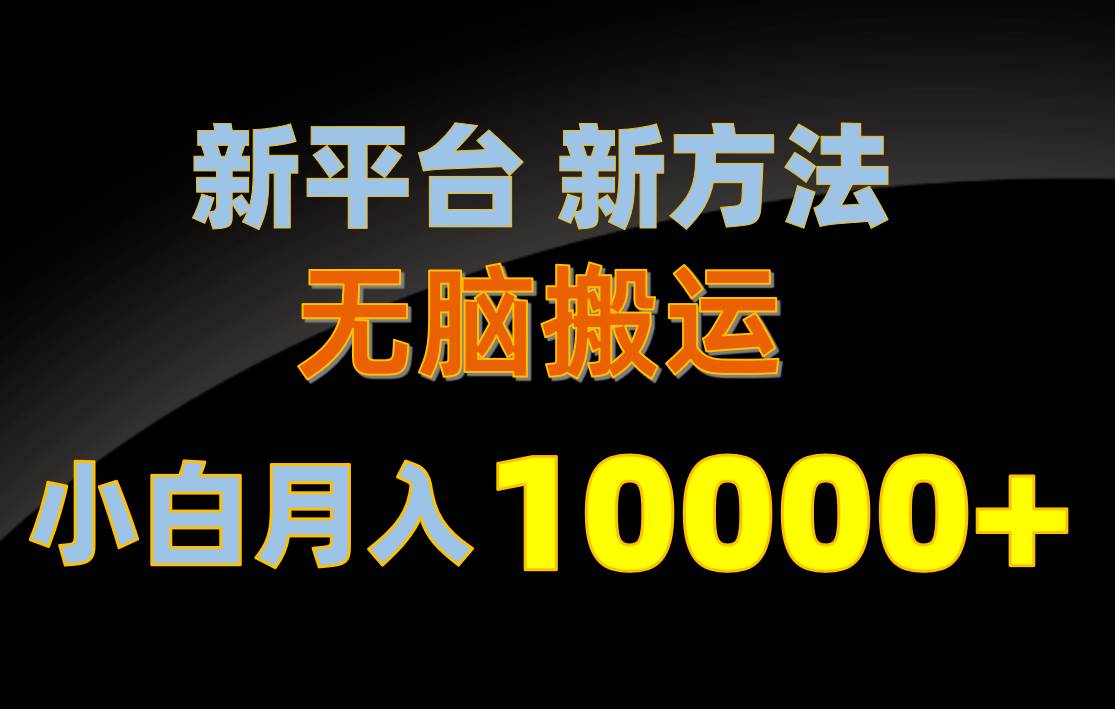 （10605期）新平台新方法，无脑搬运，月赚10000+，小白轻松上手不动脑