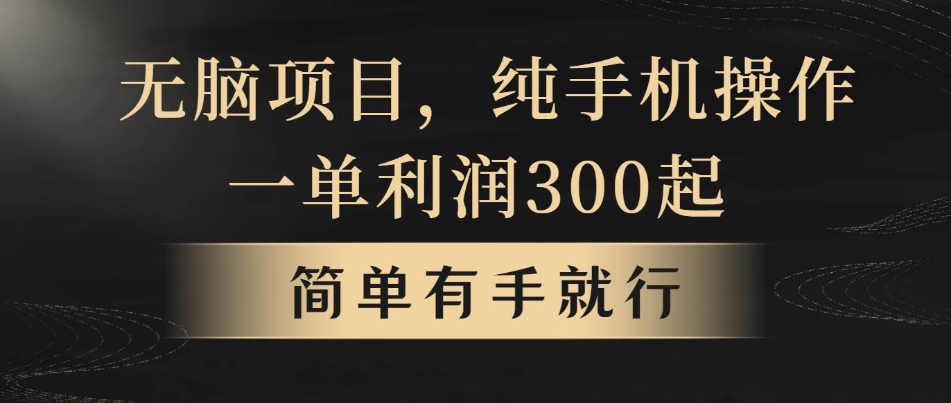 （10589期）无脑项目，一单几百块，轻松月入5w+，看完就能直接操作