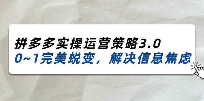 （11658期）2024_2025拼多多实操运营策略3.0，0~1完美蜕变，解决信息焦虑（38节）