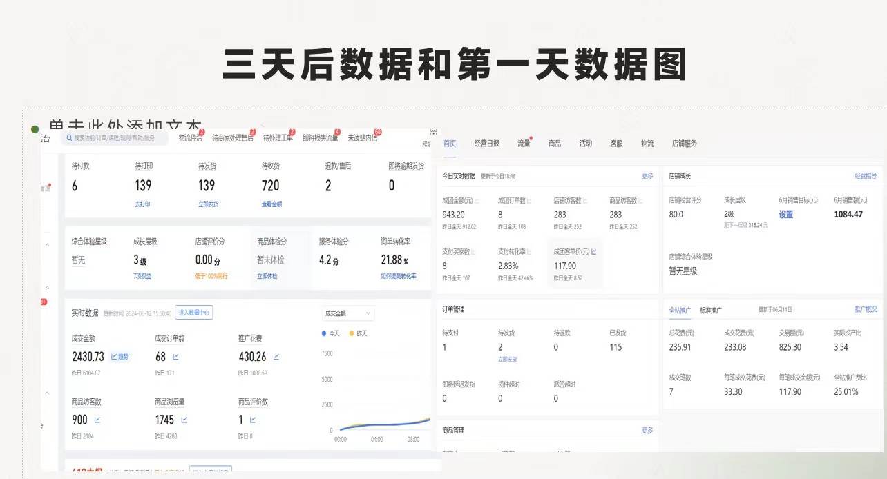 （11853期）拼多多 最新合作开店日收4000+两天销量过百单，无学费、老运营代操作、…