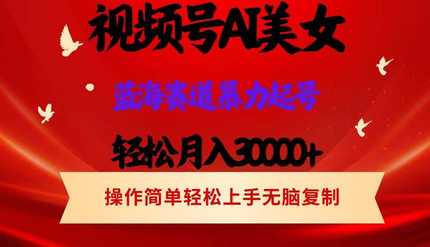 （12178期）视频号AI美/女跳舞，轻松月入30000+，蓝海赛道，流量池巨大，起号猛，当…