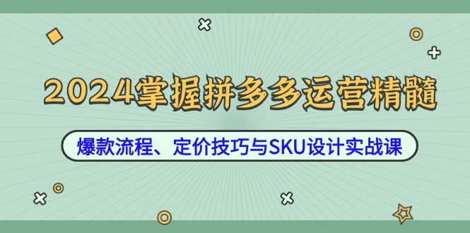 （12703期）2024掌握拼多多运营精髓：爆款流程、定价技巧与SKU设计实战课