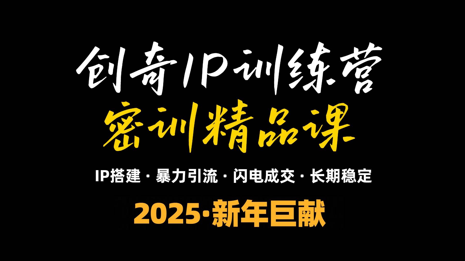 （13898期）2025年“知识付费IP训练营”小白避坑年赚百万，暴力引流，闪电成交