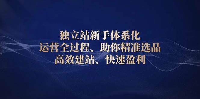 （13914期）独立站新手体系化 运营全过程，助你精准选品、高效建站、快速盈利