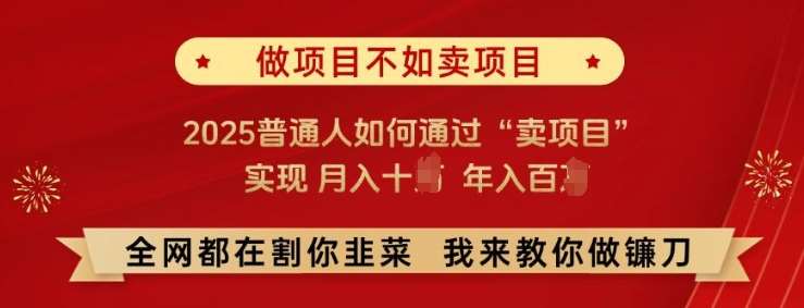 必看!做项目不如卖项目，2025普通人如何通过“卖项目”实现月入十个，年入百个【揭秘】