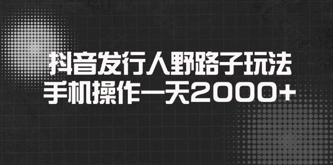 （14068期）抖音发行人野路子玩法，手机操作一天2000+