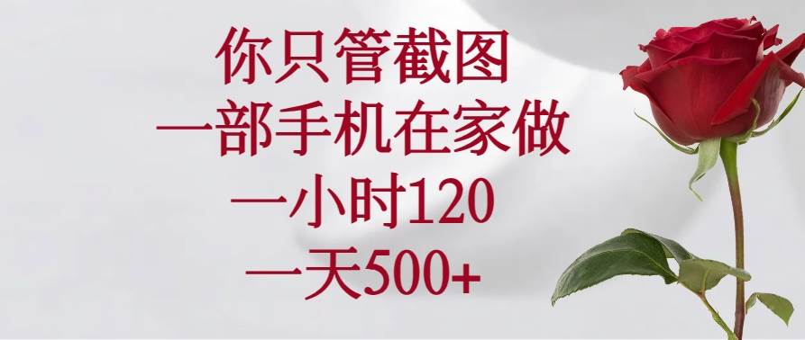 （14248期）你只管截图，一部手机在家做，一小时120，一天500+