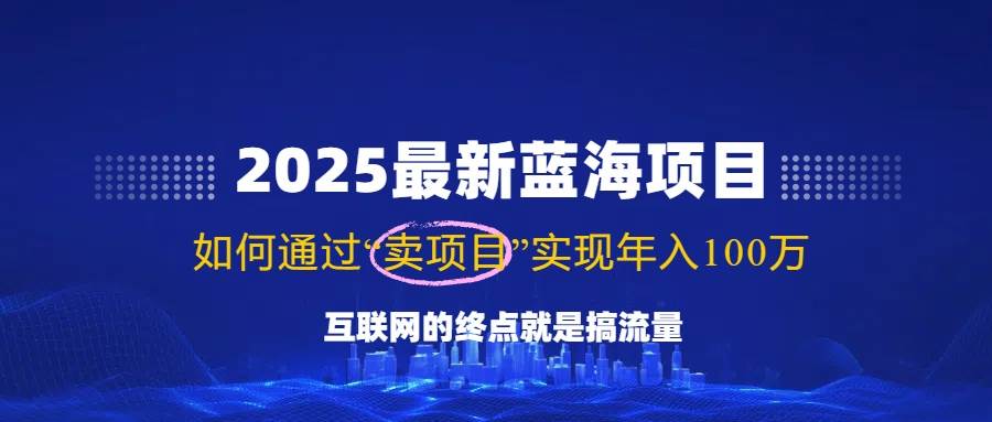 （14305期）2025最新蓝海项目，零门槛轻松复制，月入10万+，新手也能操作！