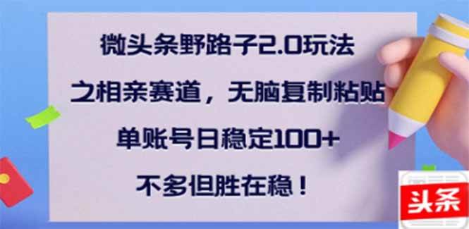 （14334期）微头条野路子2.0玩法之相亲赛道，无脑搬砖复制粘贴，单账号日稳定300+…