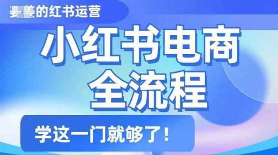 小红书电商全流程，精简易懂，从入门到精通，学这一门就够了