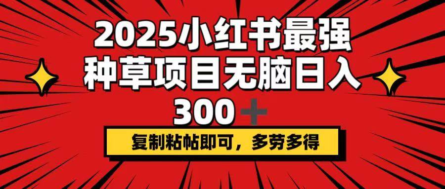 （14375期）2025小红书最强种草项目，无脑日入300+，复制粘帖即可，多劳多得