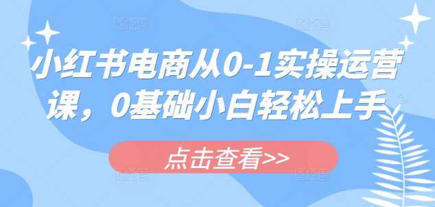 小红书电商从0-1实操运营课，0基础小白轻松上手