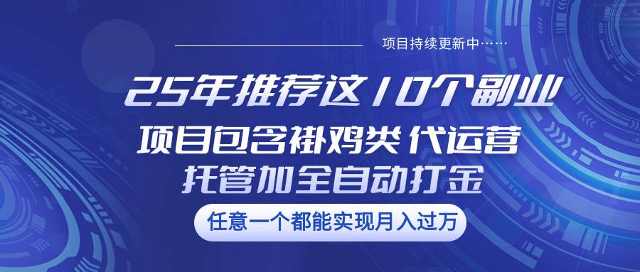 25年推荐这10个副业 项目包含褂鸡类、代运营托管类、全自动打金类